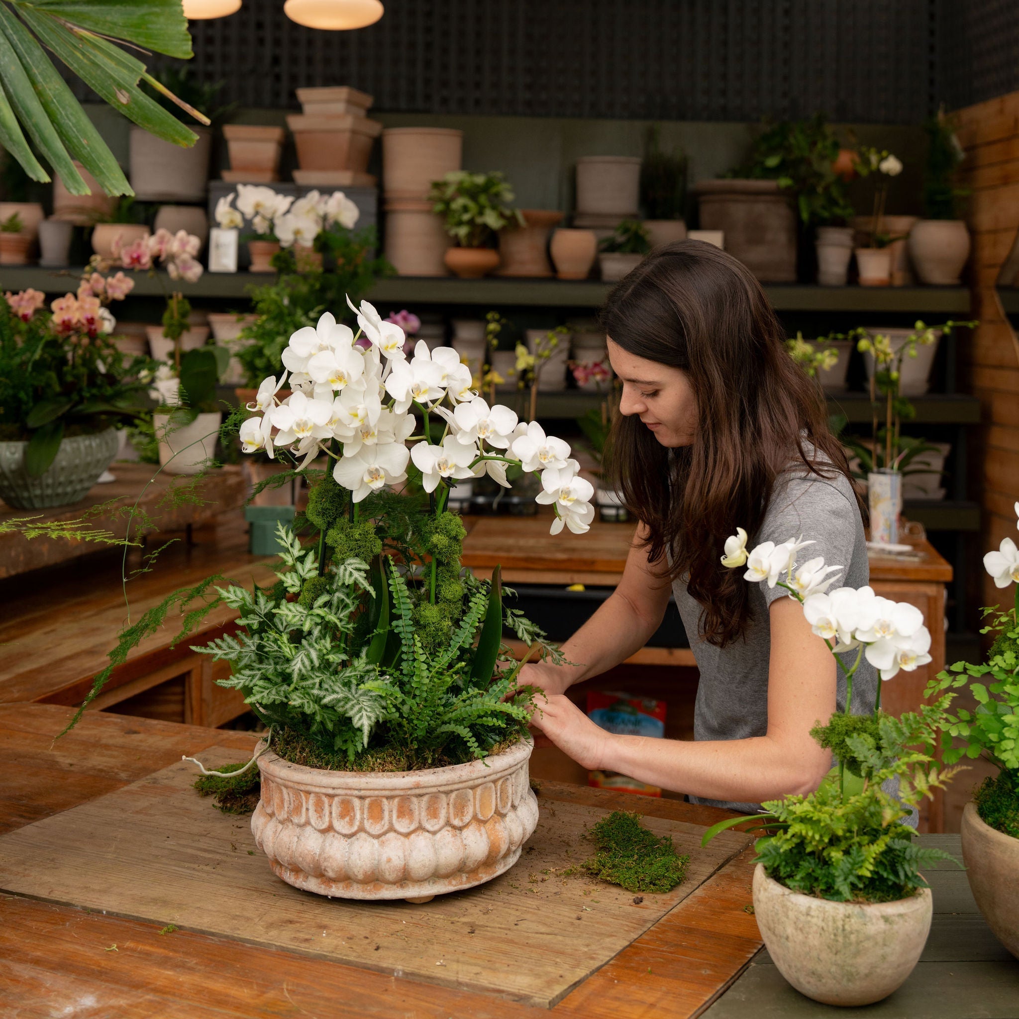 A woman arranging white orchids in a rustic ceramic pot on a wooden table inside a greenhouse or florist shop, surrounded by potted plants and warm hanging lights.